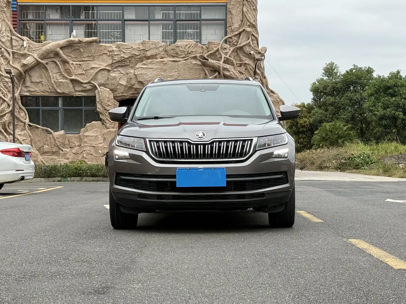 Skoda Kodiaq  из Китая