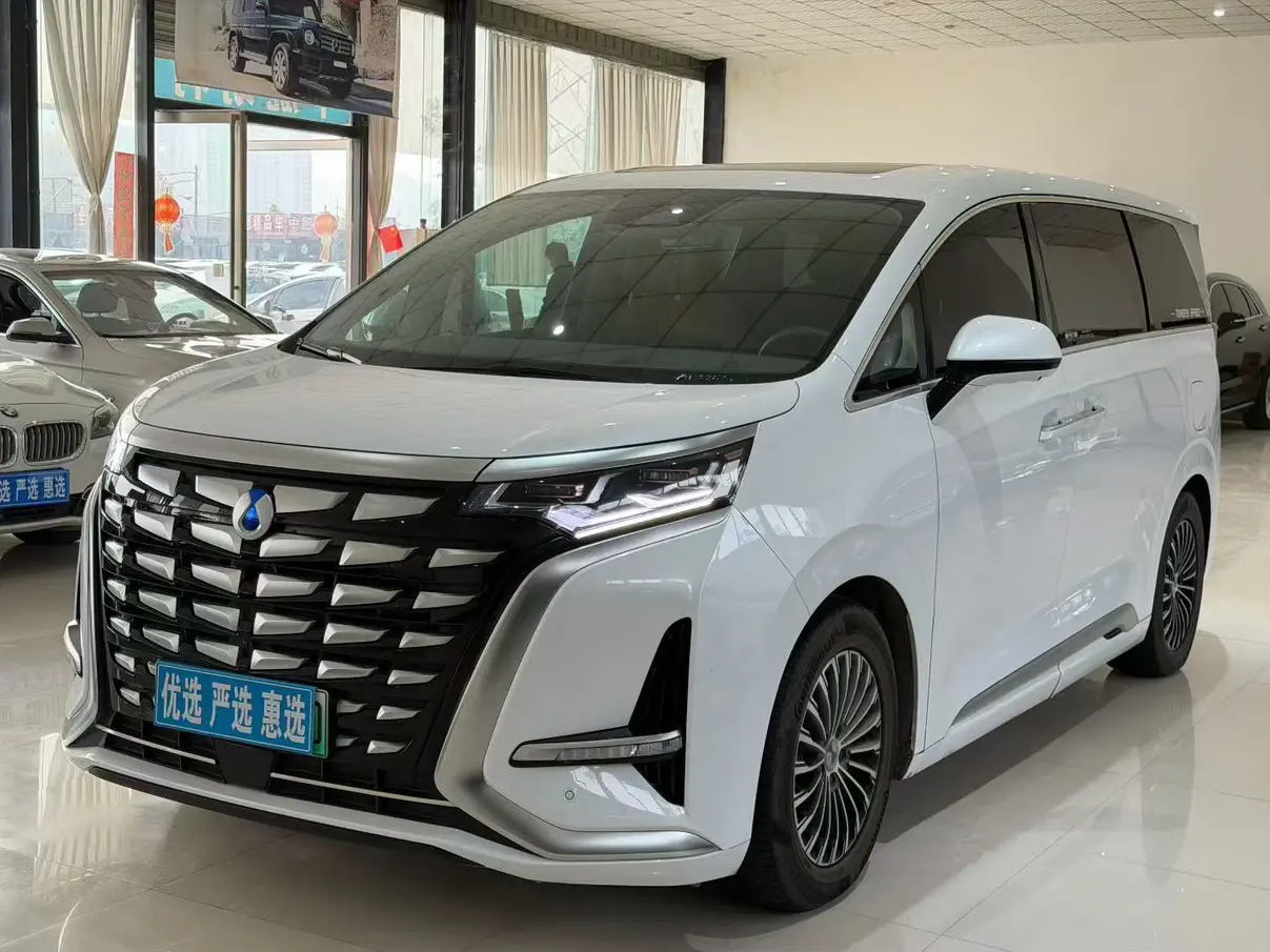 Denza D9 DM  из Китая