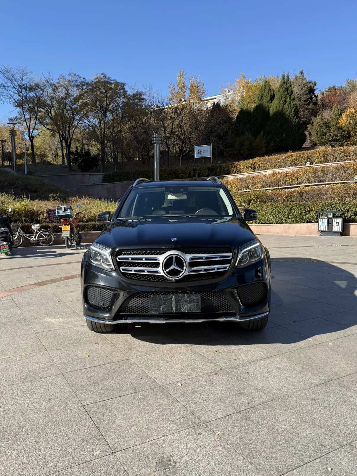 Mercedes-Benz Mercedes Benz GLS  из Китая