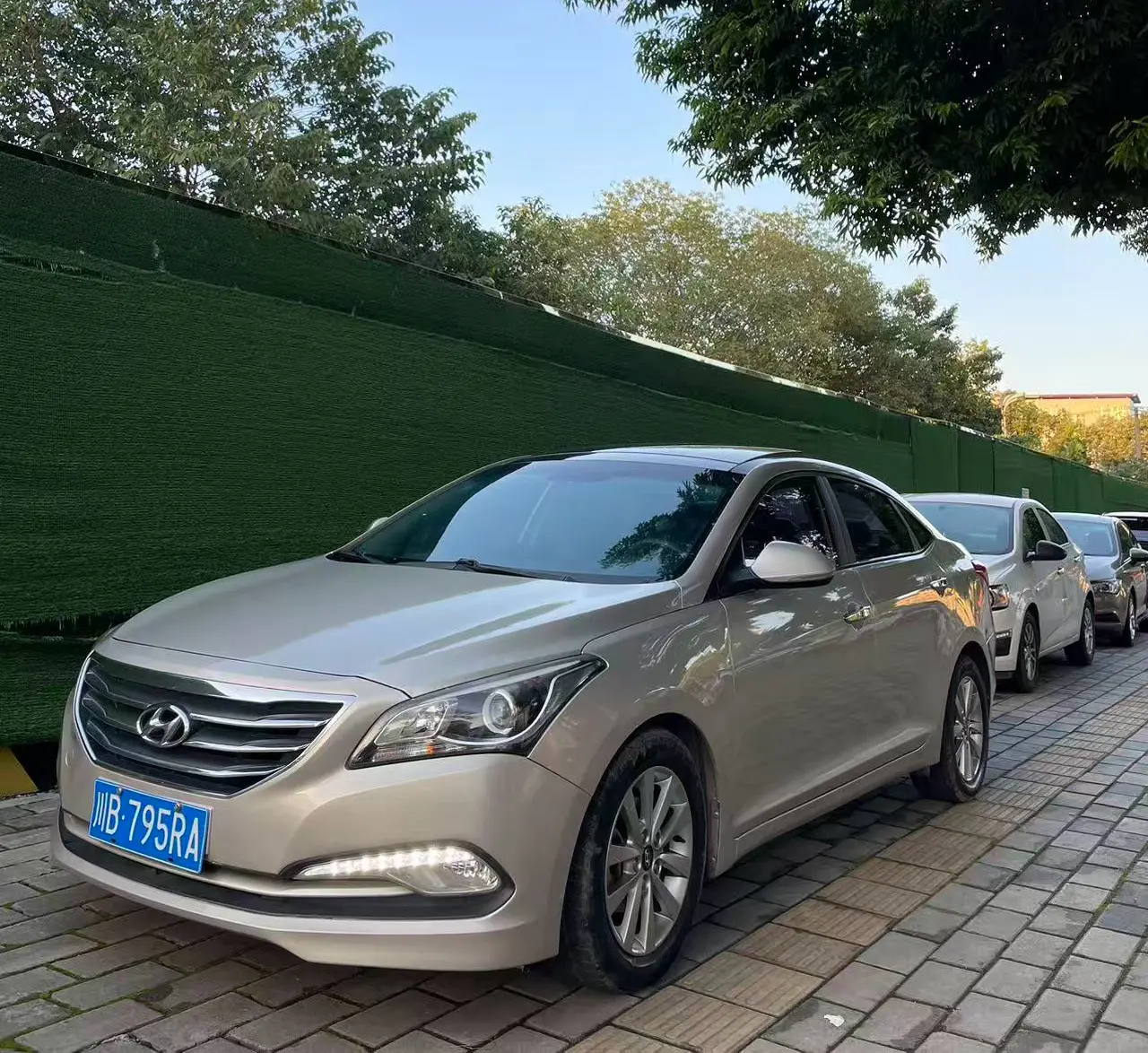 Hyundai Famous pictures  из Китая