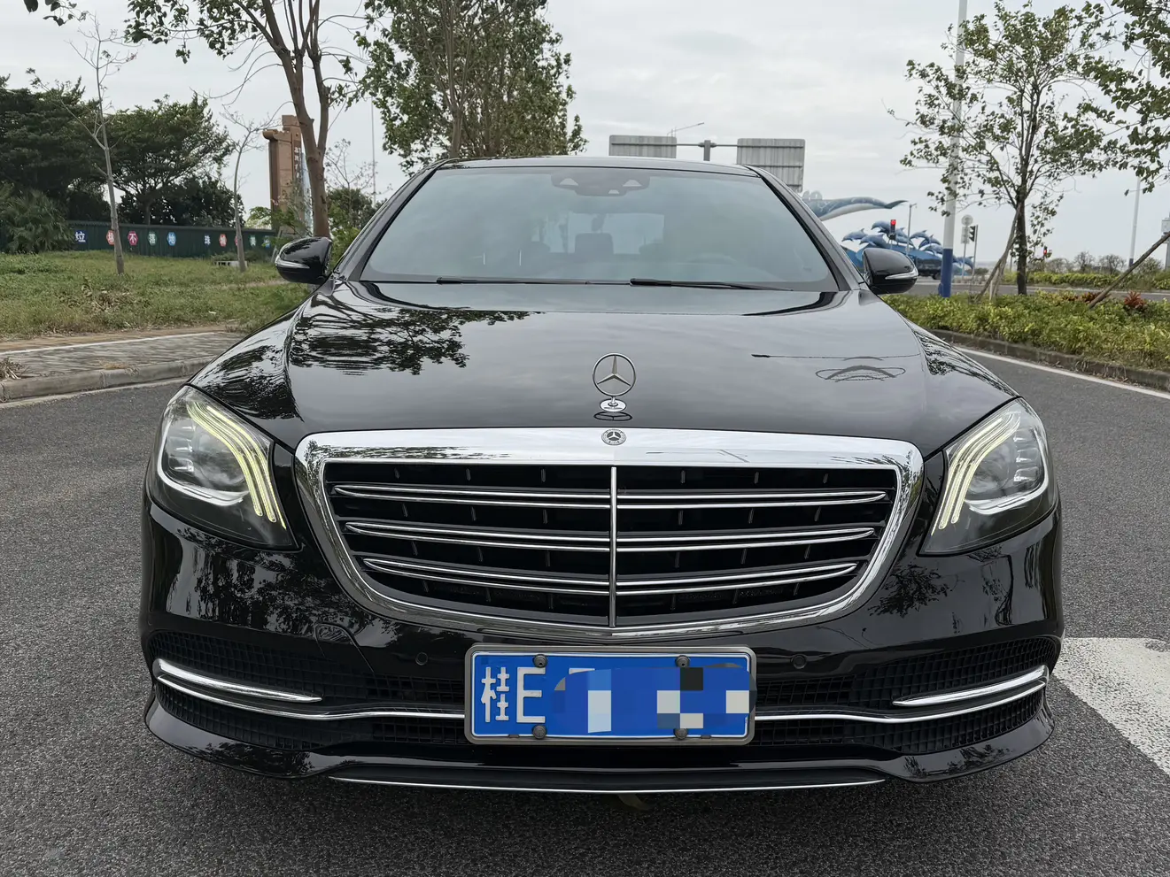 Mercedes-Benz Mercedes Benz S Class  из Китая