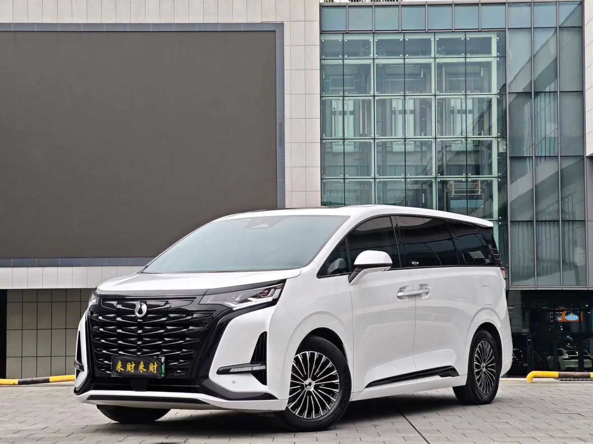 Denza D9 DM  из Китая