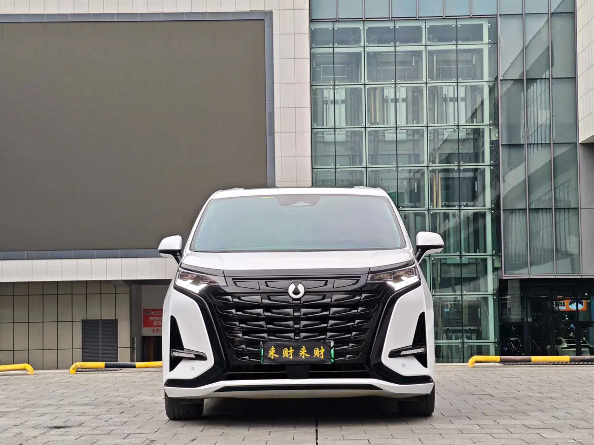 Denza D9 DM  из Китая