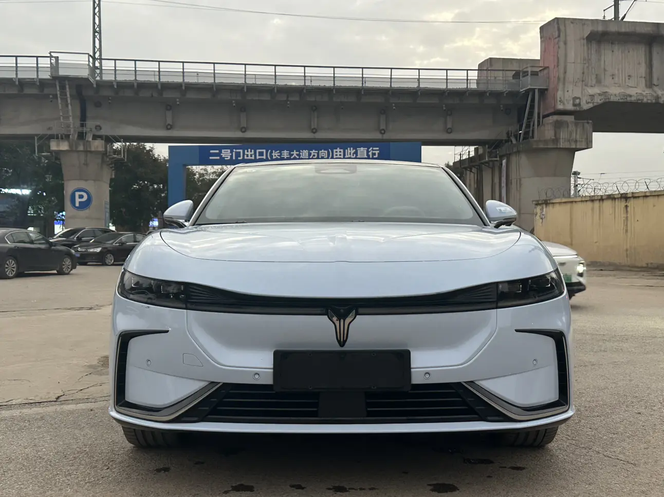 Voyah Passion EV  из Китая