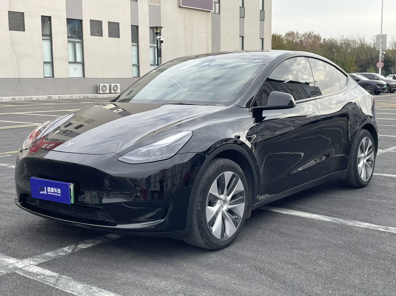 Tesla Model Y  из Китая