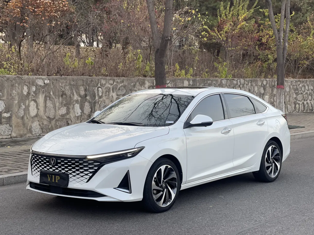 Changan Ruicheng PLUS  из Китая