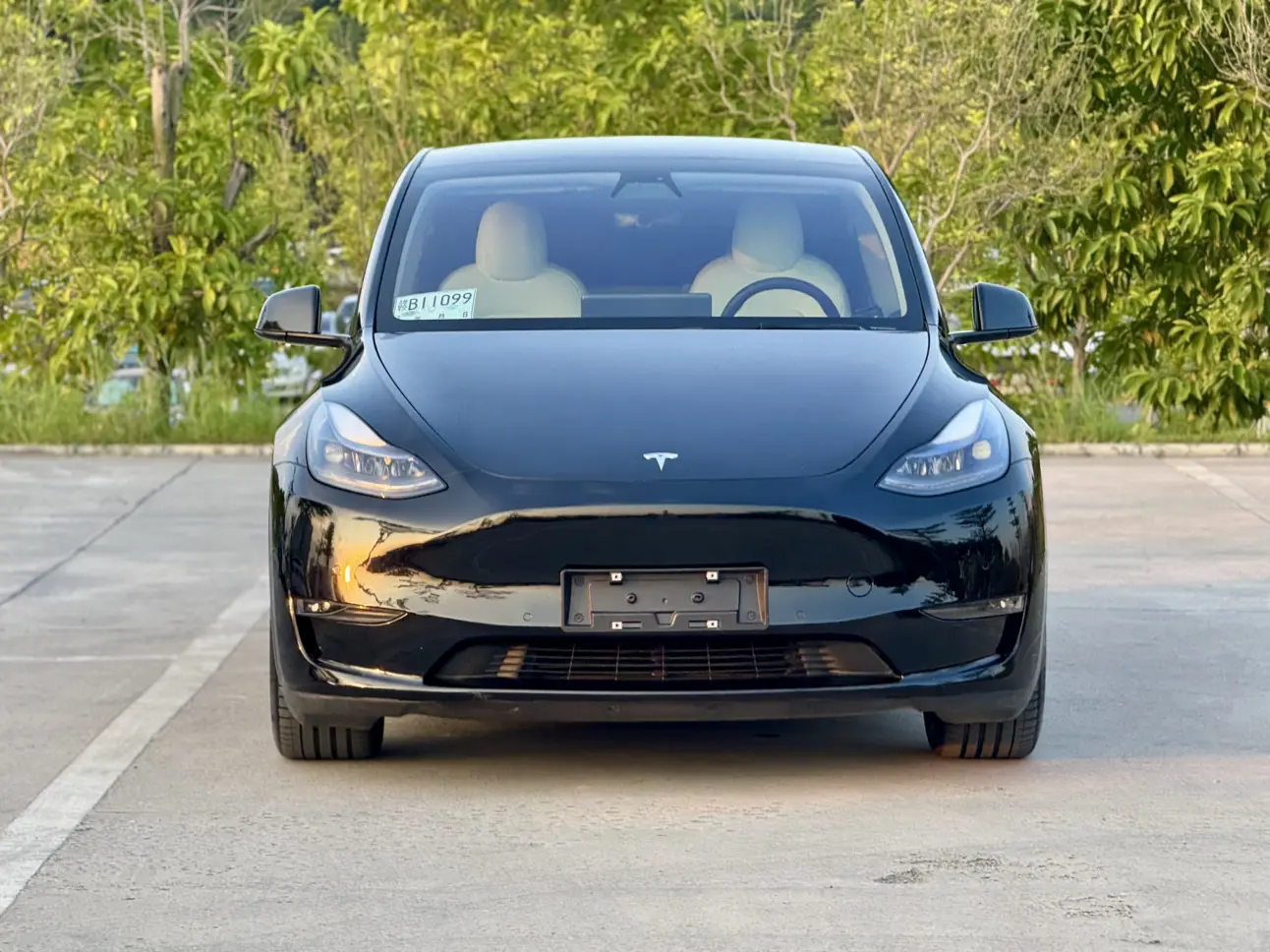 Tesla Model Y  из Китая