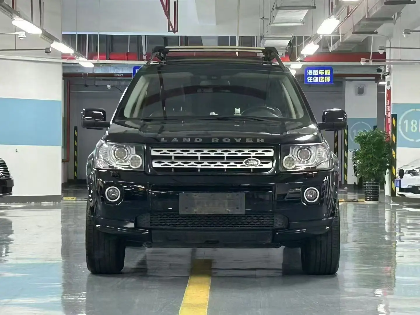 Land Rover Freelander 2  из Китая