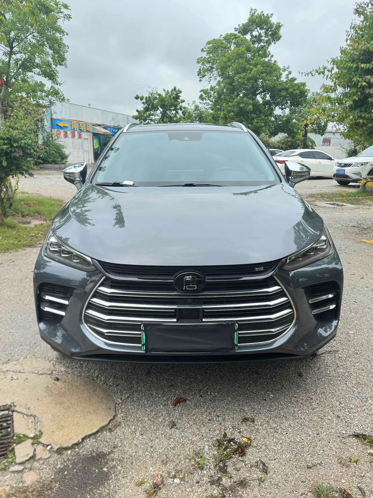 BYD Tang DM  из Китая