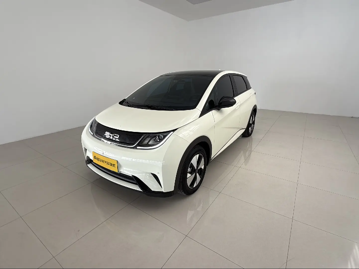 BYD Dolphin  из Китая