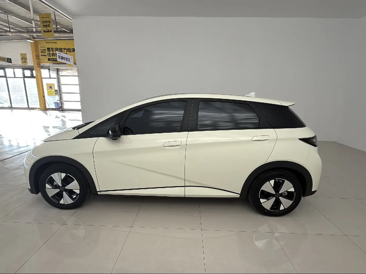 BYD Dolphin  из Китая