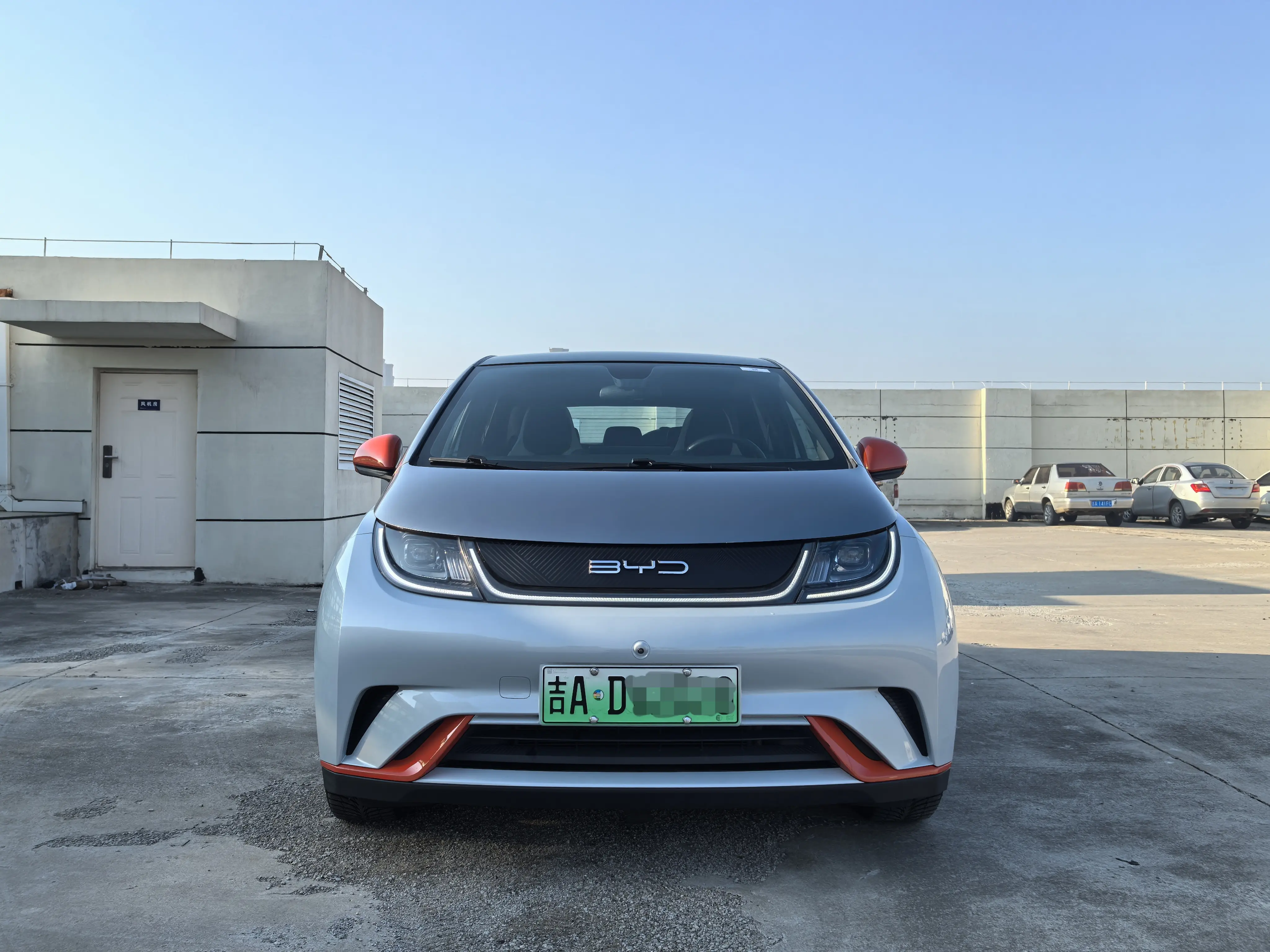 BYD Dolphin  из Китая