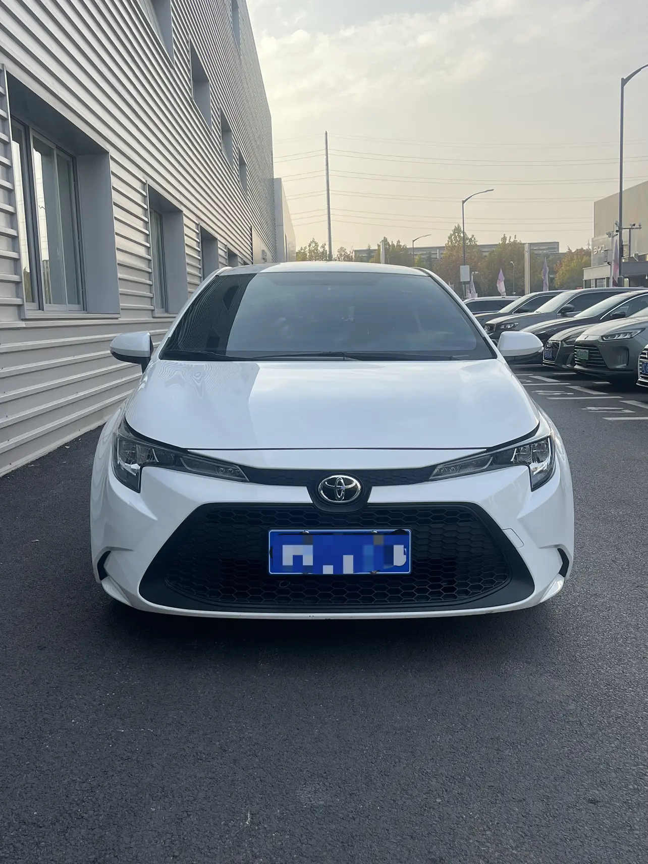 Toyota Levin (Lei Ling)  из Китая