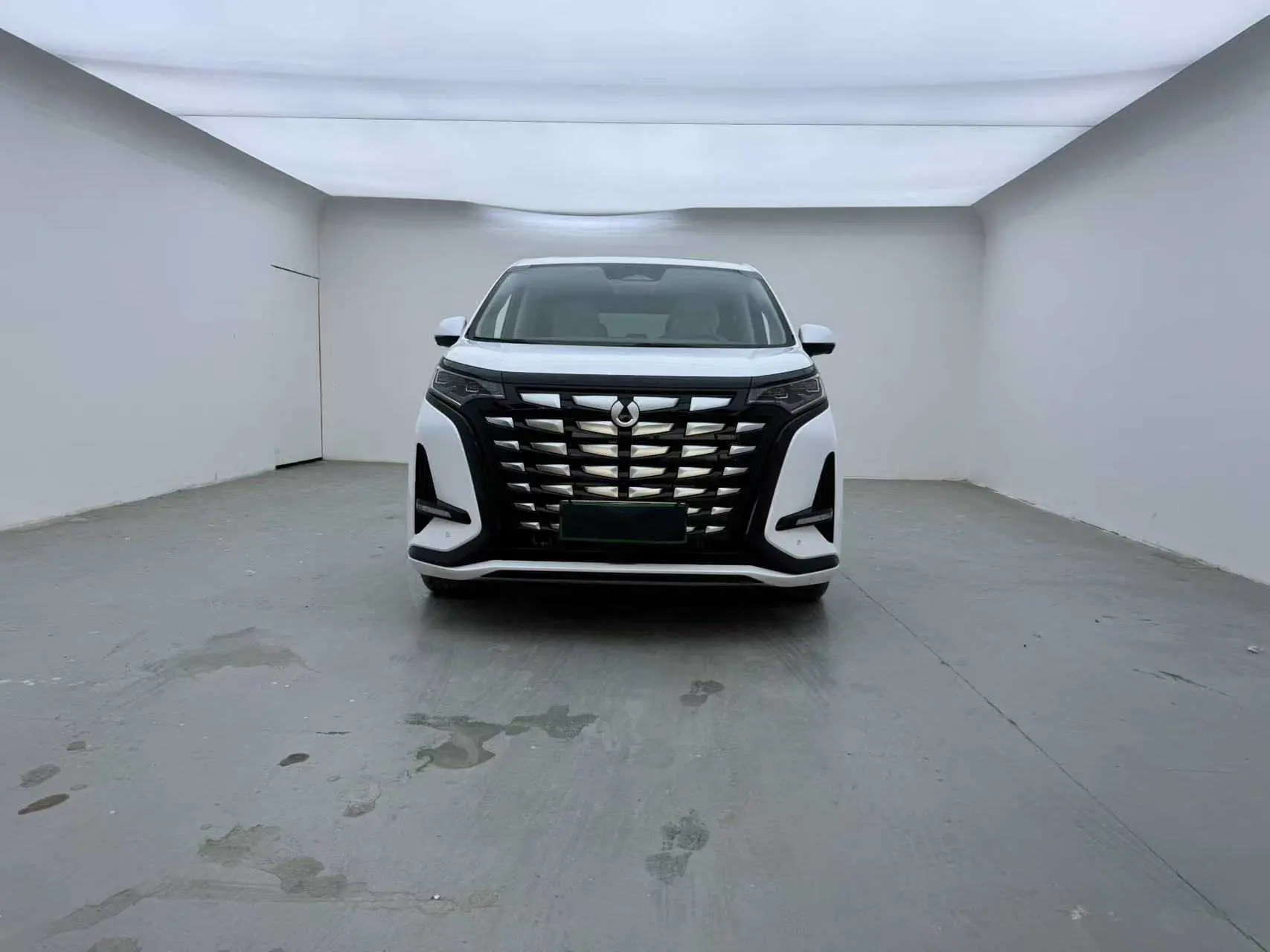 Denza D9 DM  из Китая