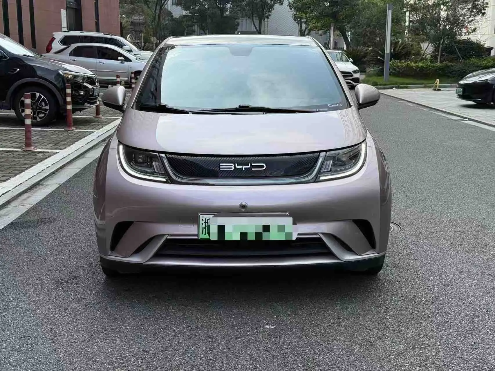 BYD Dolphin  из Китая