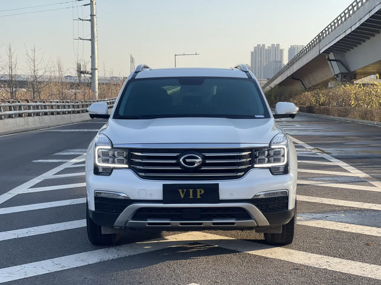 GAC Trumpchi GS8  из Китая