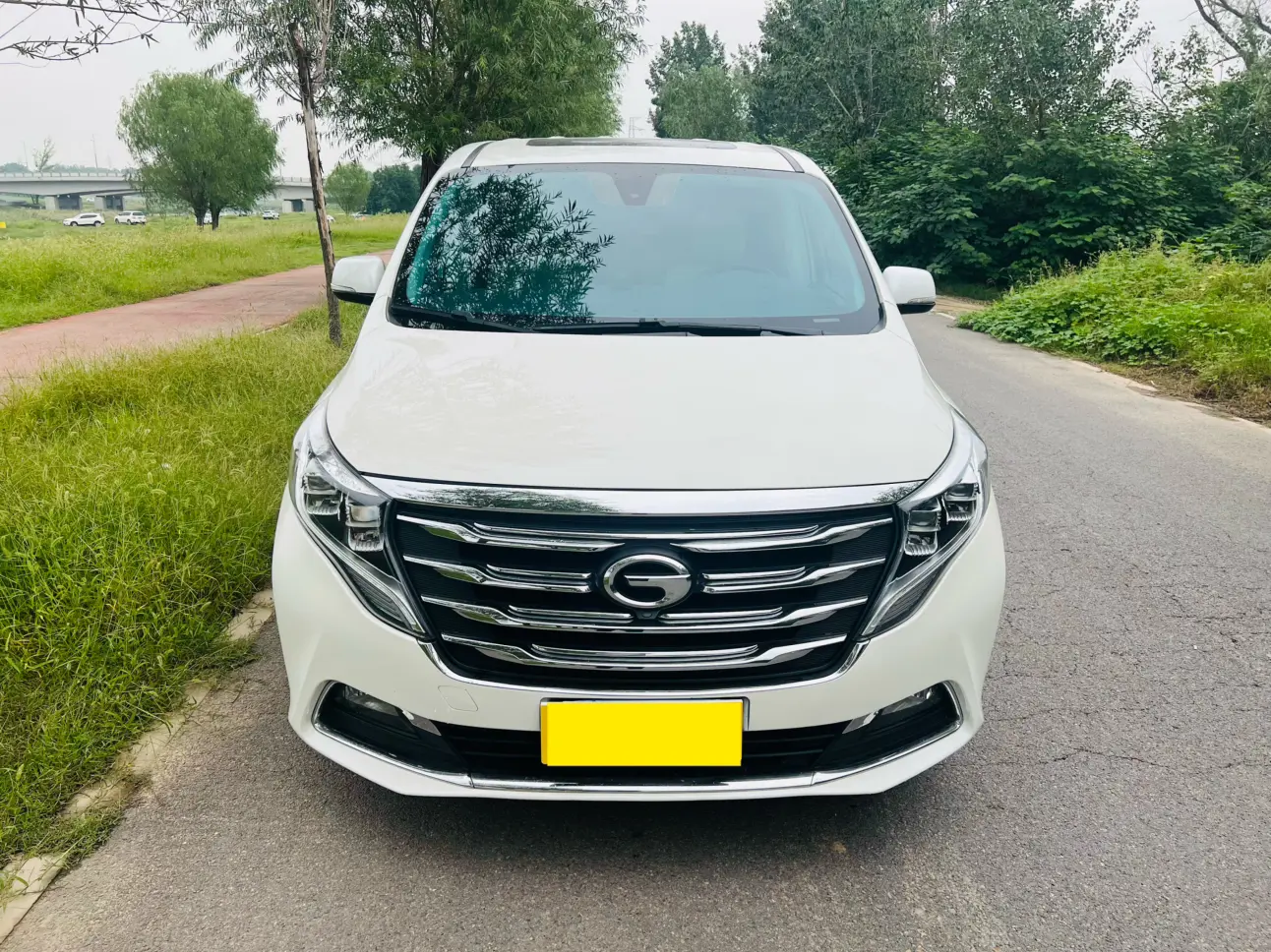 GAC Trumpchi M8  из Китая