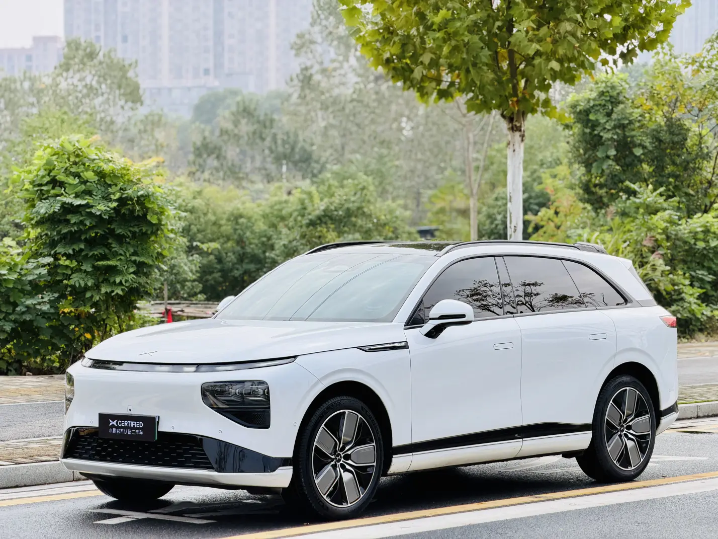 Xpeng G9  из Китая