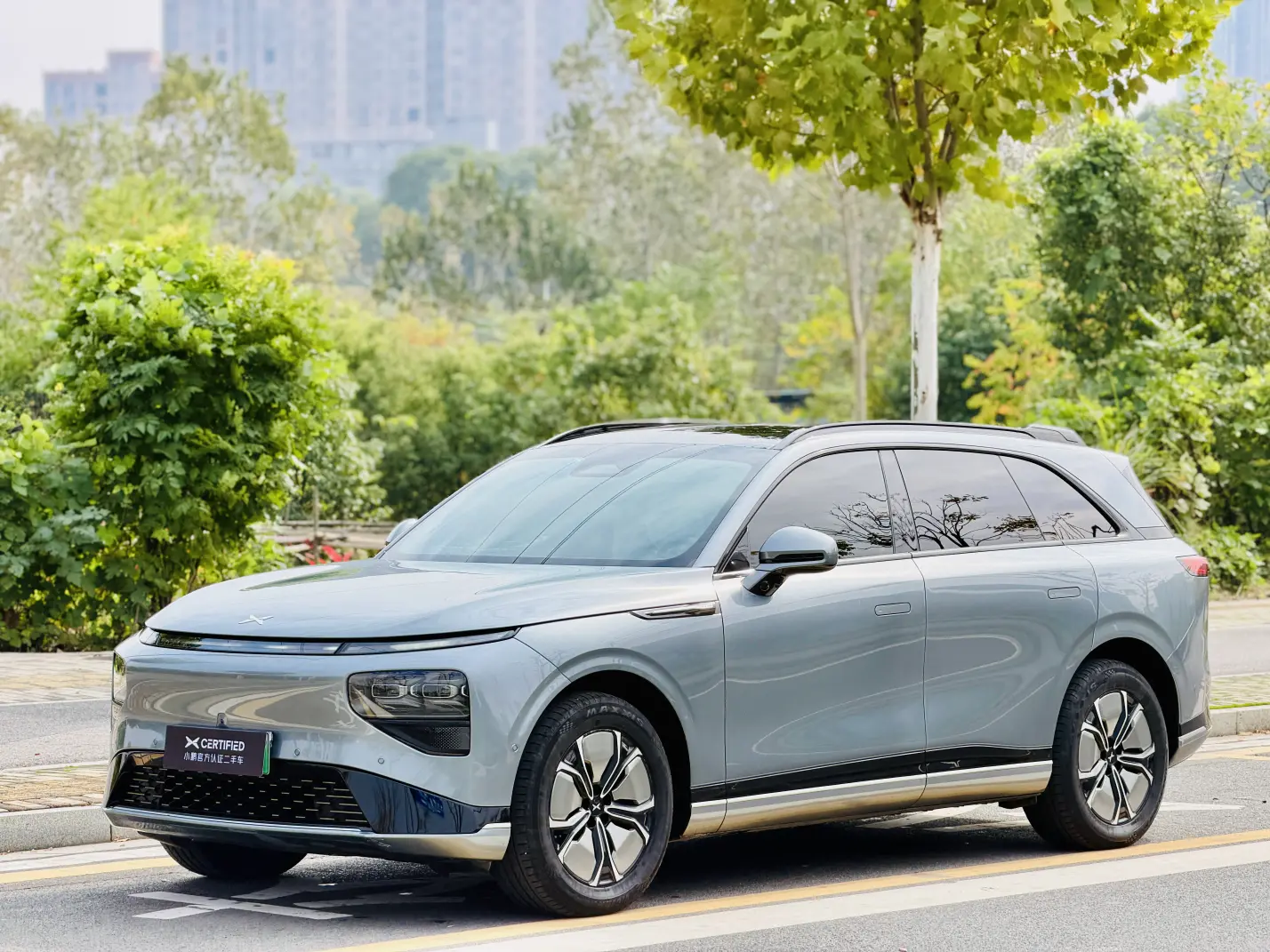 Xpeng G9  из Китая