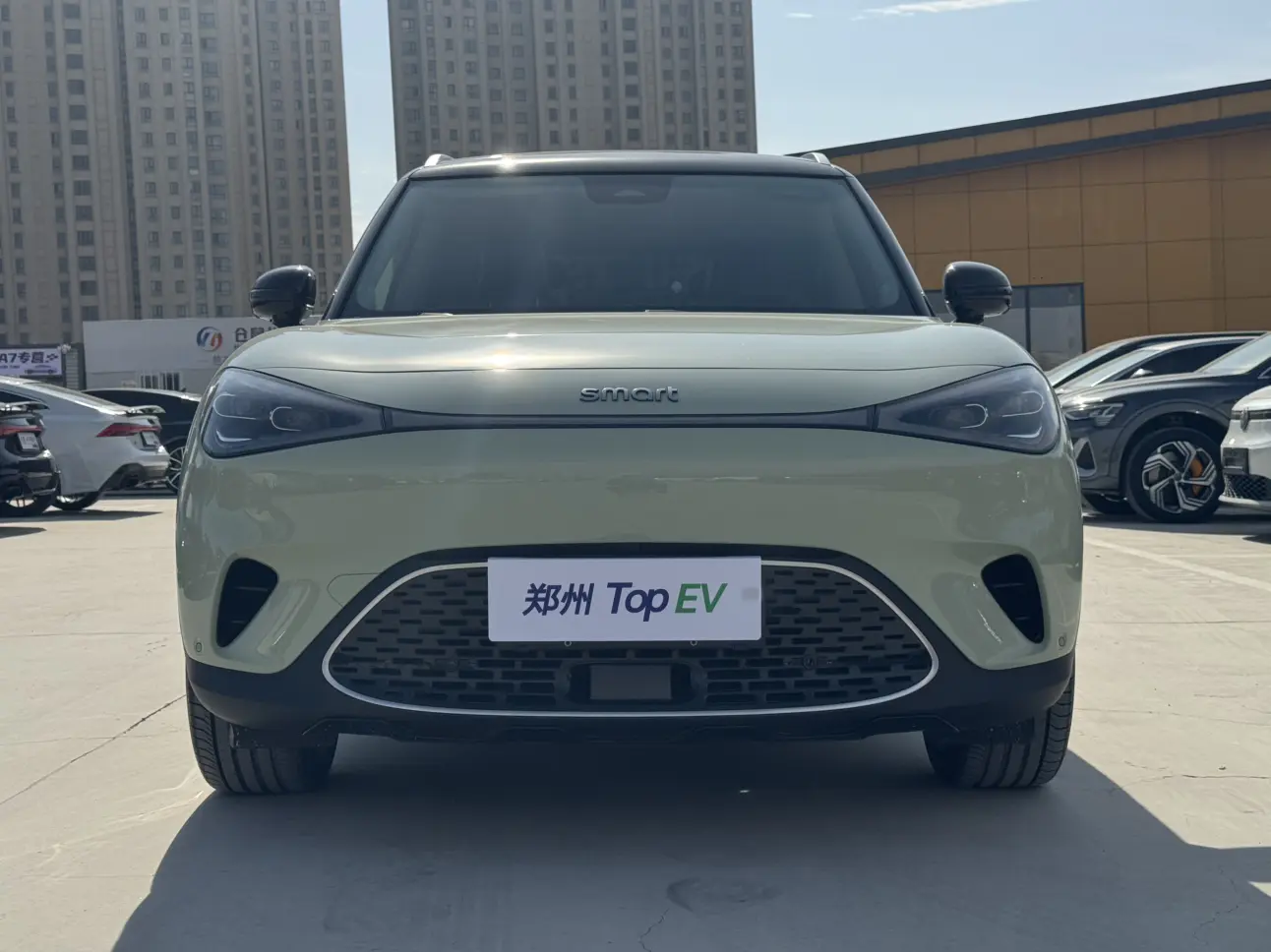 Smart elf #1  из Китая