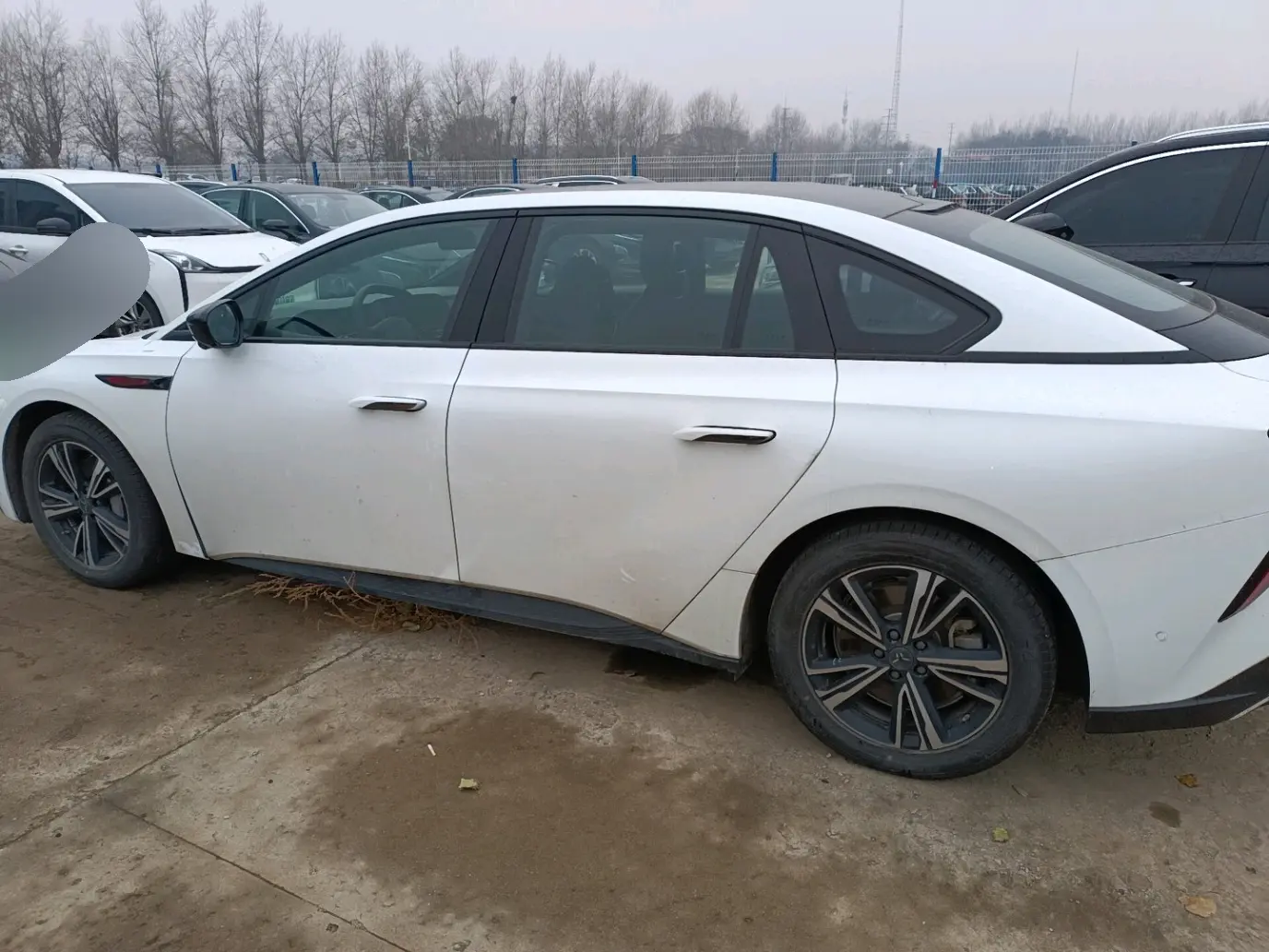 Hongqi EH7  из Китая