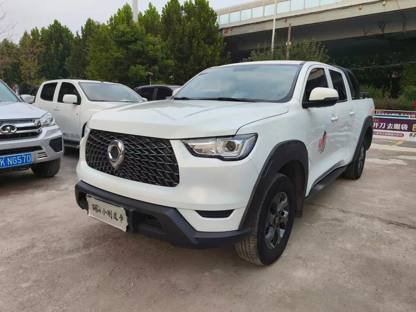 Great Wall Gun  из Китая