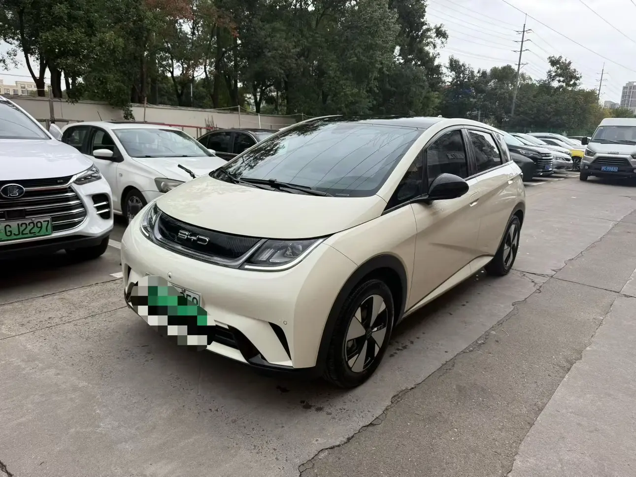 BYD Dolphin  из Китая