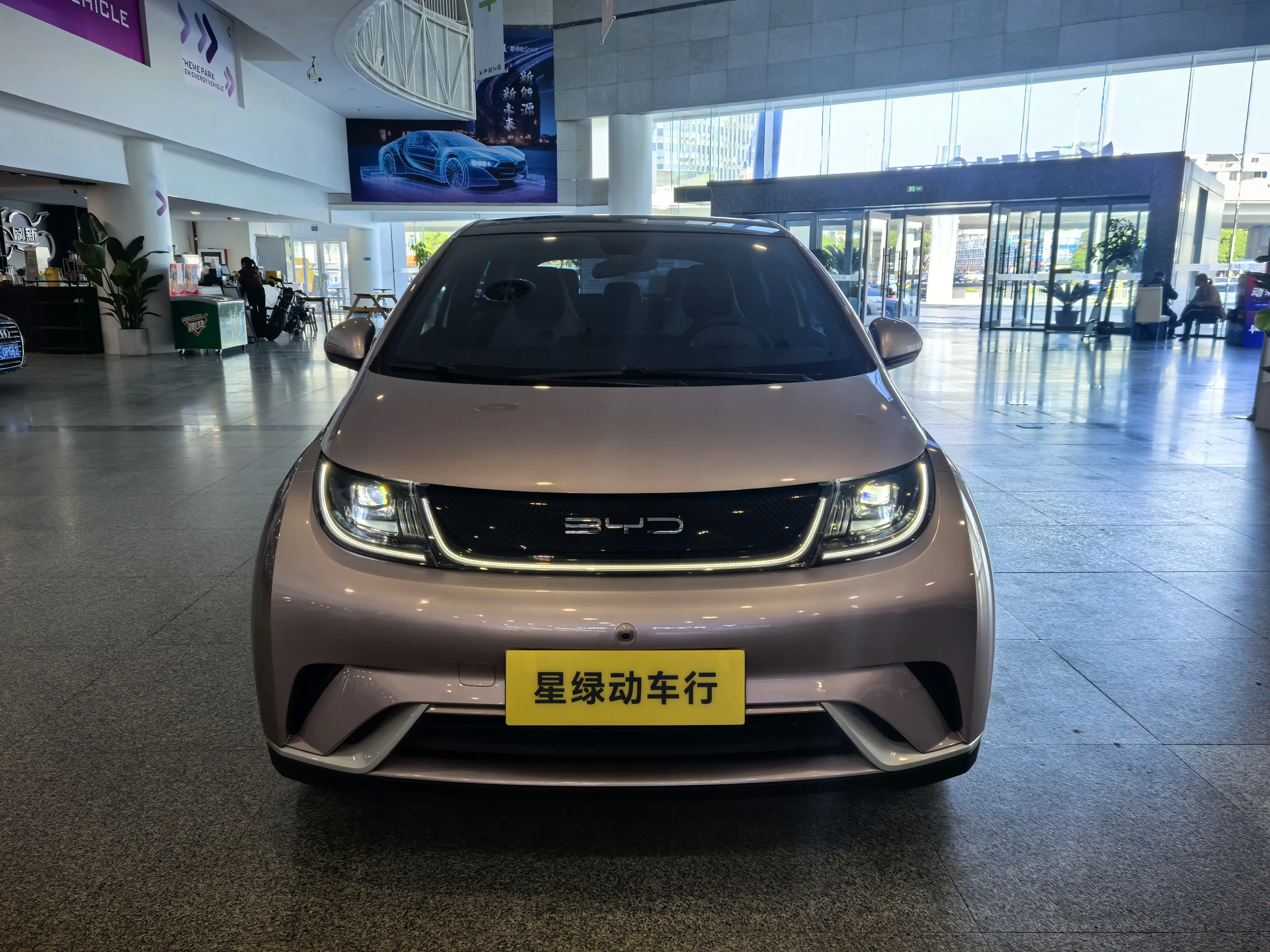 BYD Dolphin  из Китая