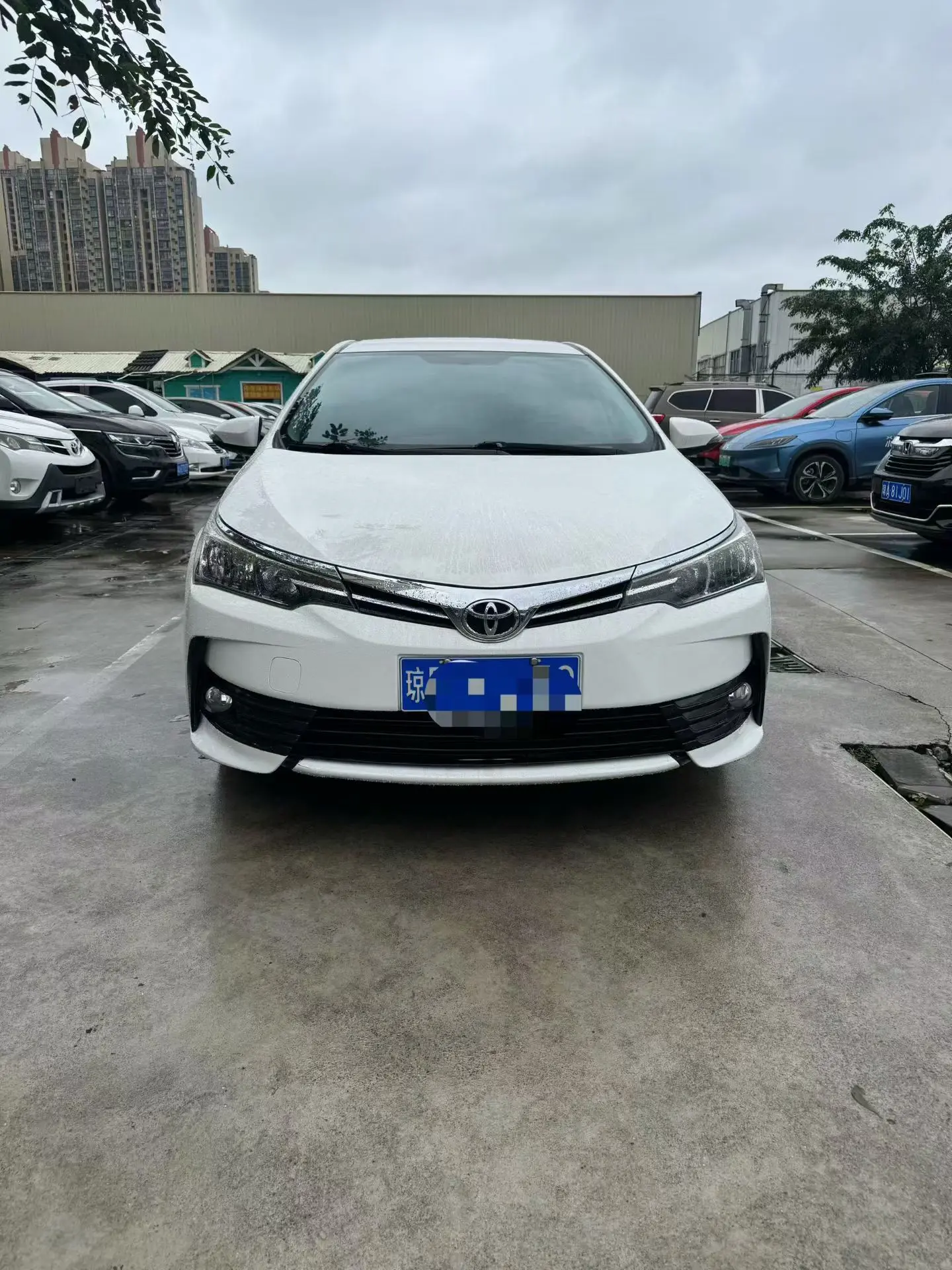 Toyota Corolla  из Китая