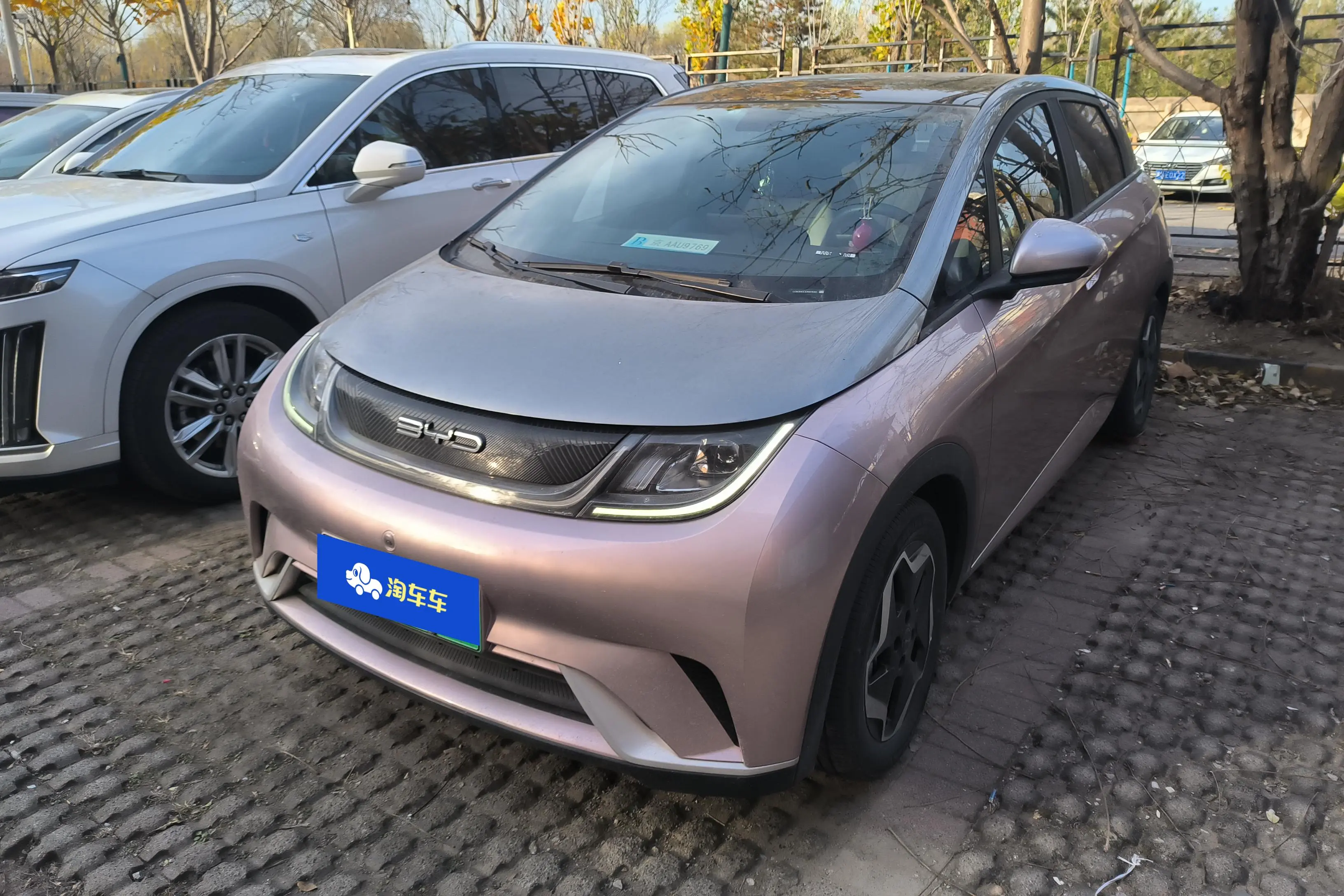 BYD Dolphin  из Китая