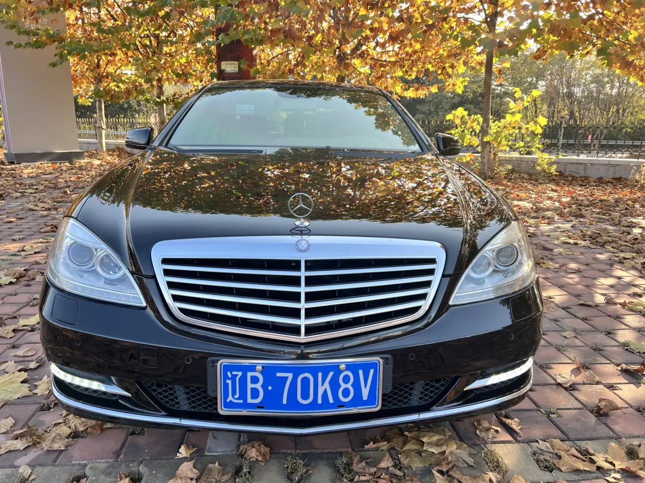 Mercedes-Benz Mercedes Benz S Class  из Китая
