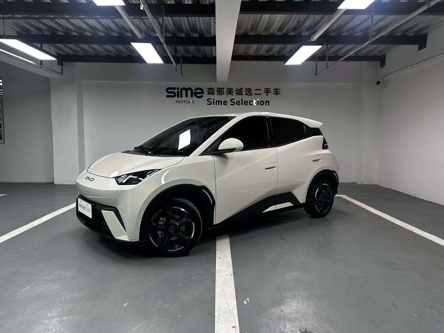 BYD Seagull  из Китая