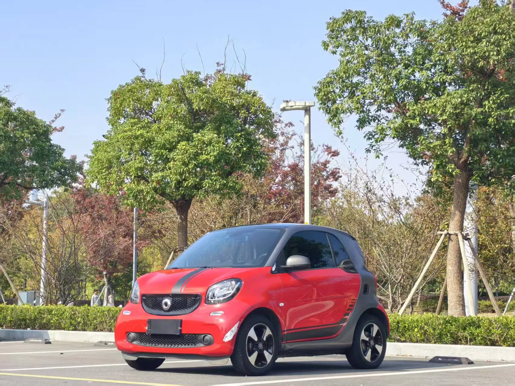 Smart fortwo  из Китая
