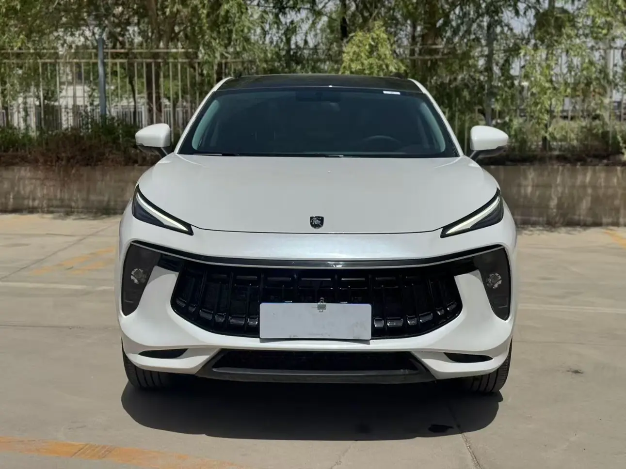 Forthing Fengxing T5 EVO  из Китая