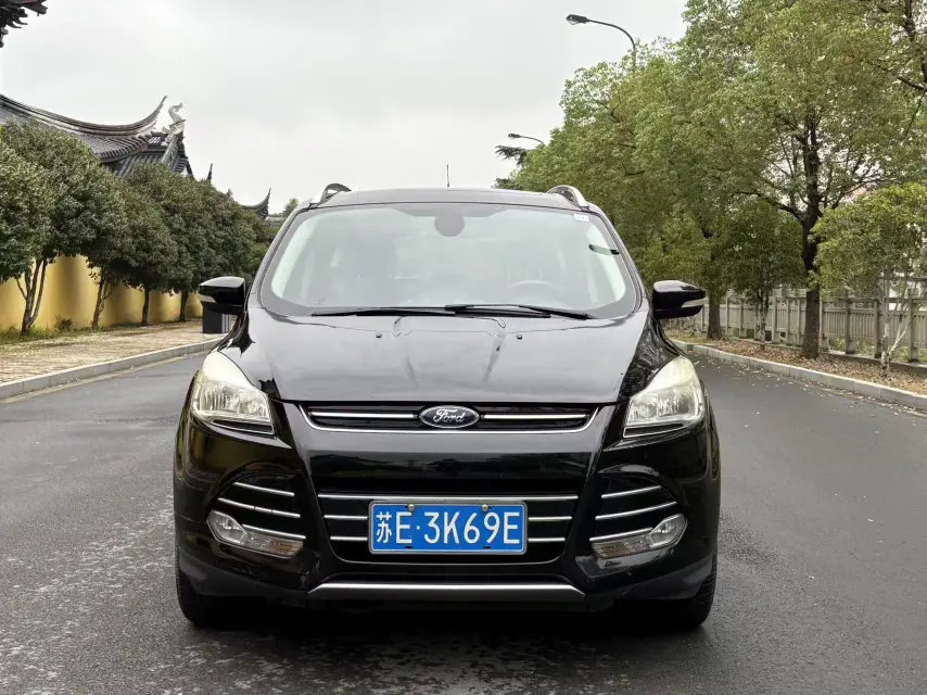 Ford Wing tiger  из Китая