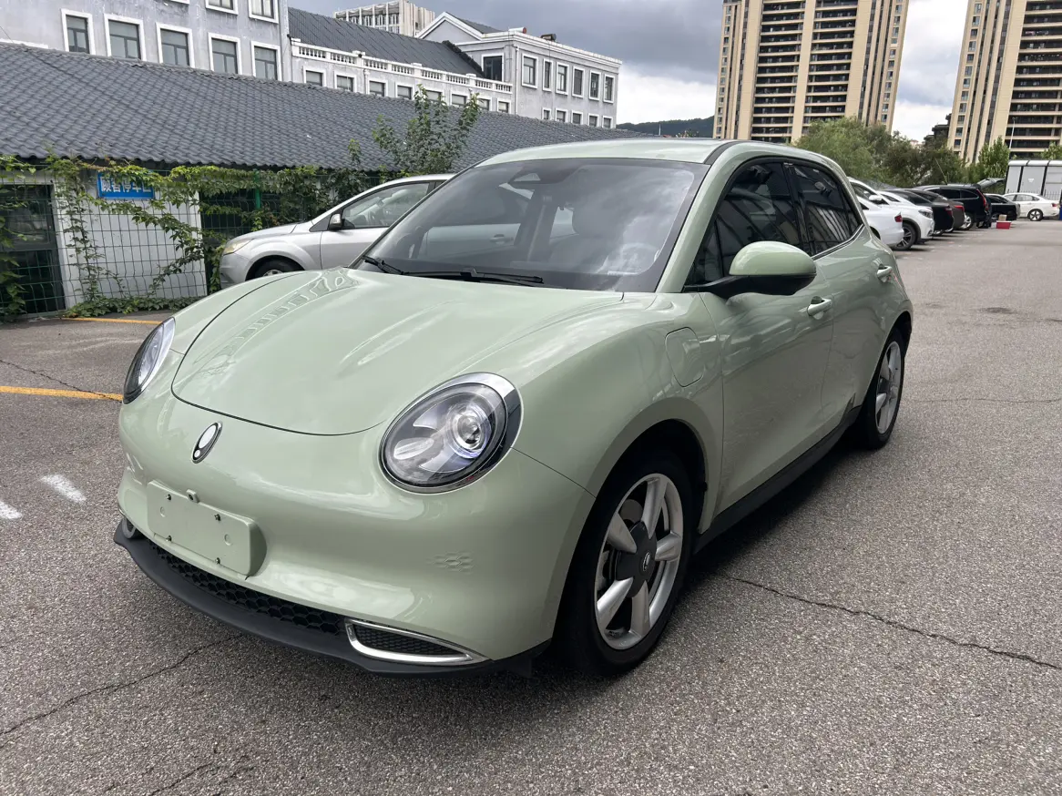 ORA Euler good cat  из Китая