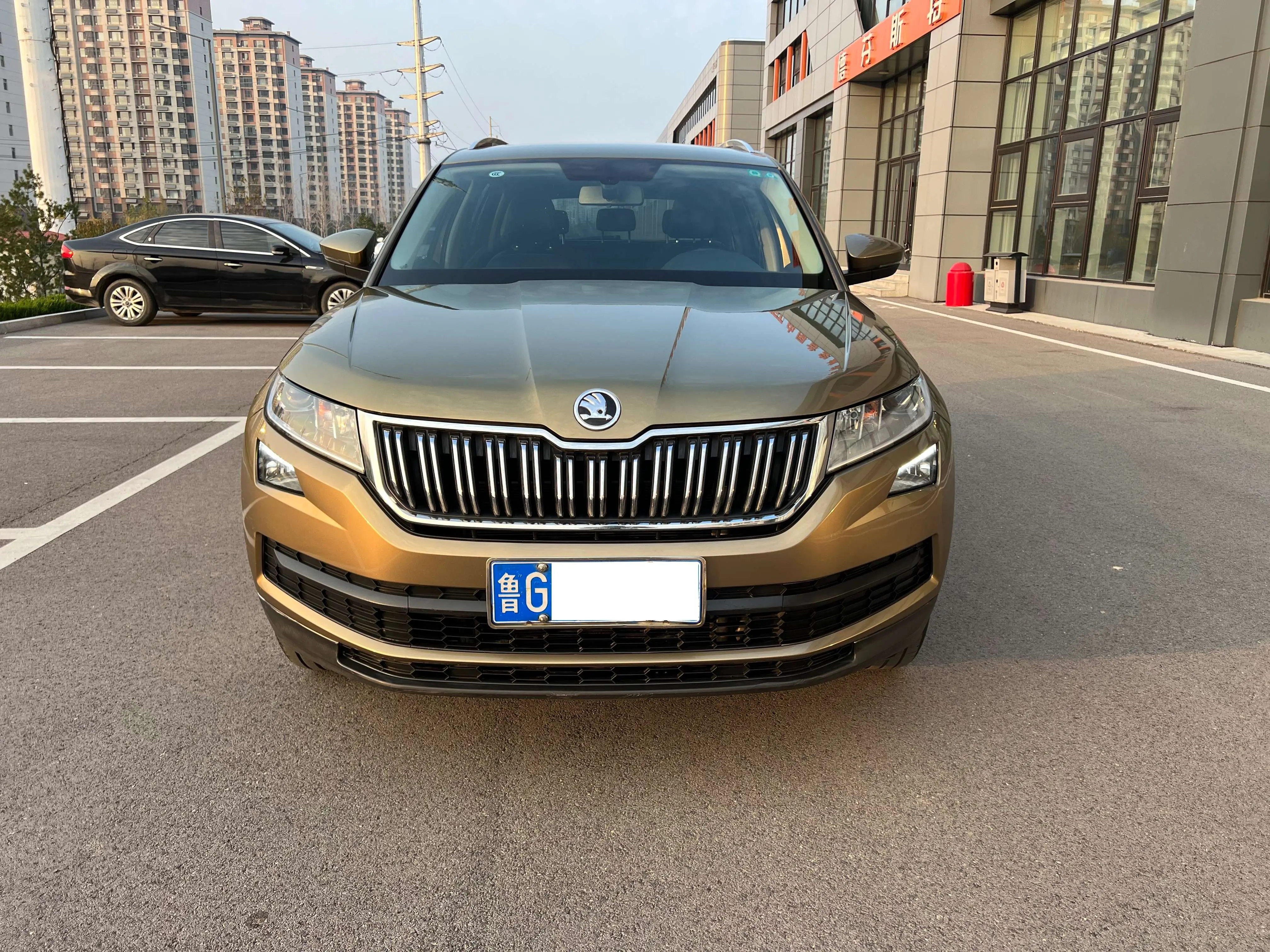 Skoda Kodiaq  из Китая