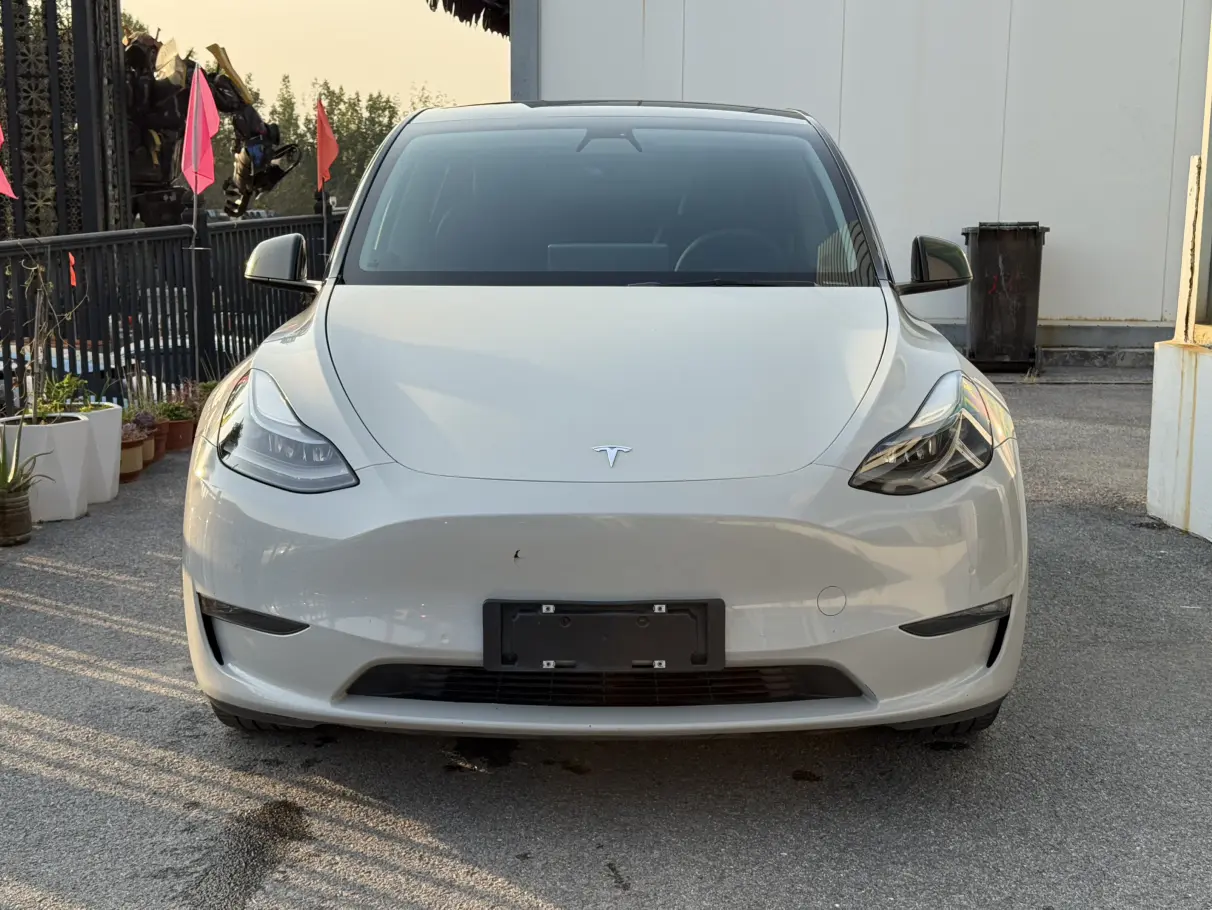 Tesla Model Y  из Китая