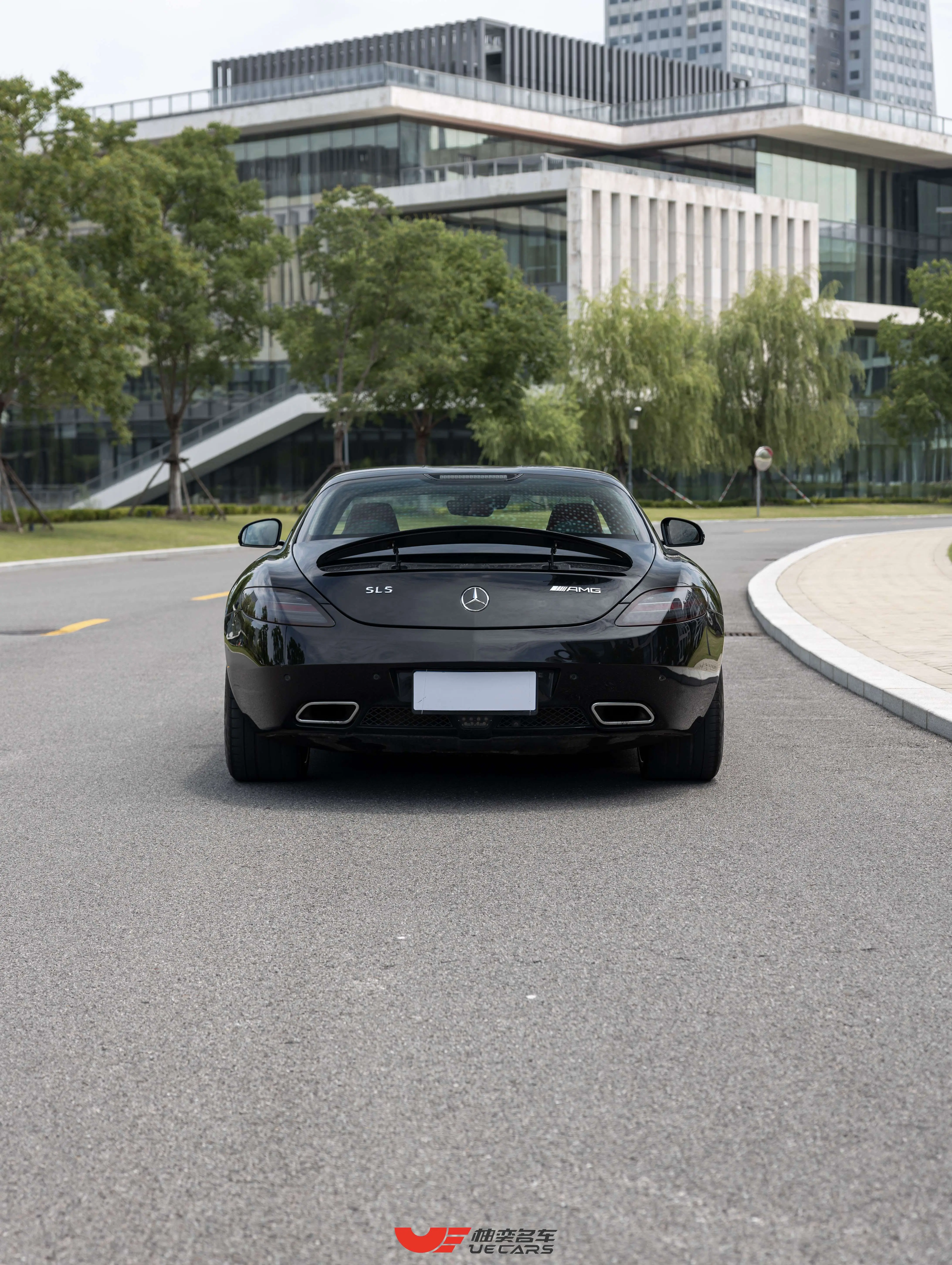 Mercedes-Benz SLS-Class AMG  из Китая