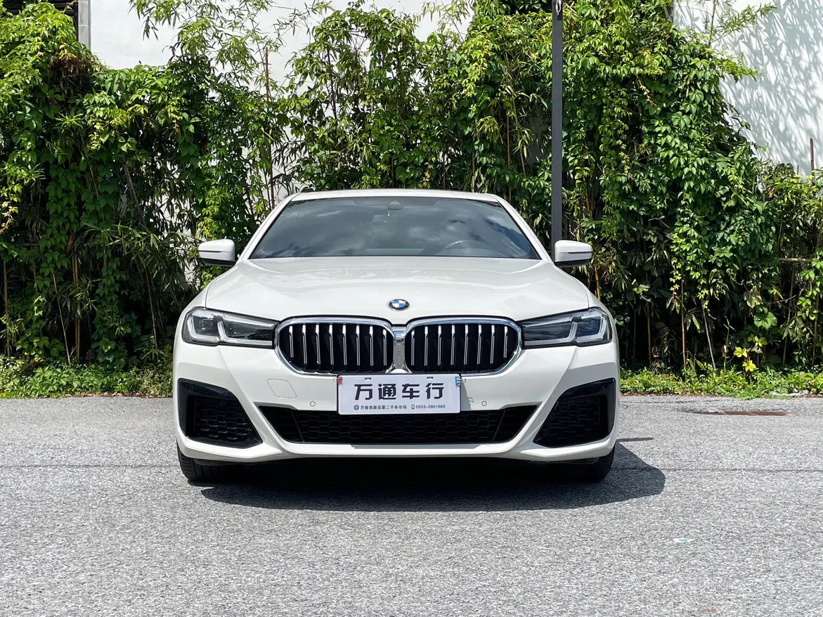 BMW 5 Series (imported)  из Китая