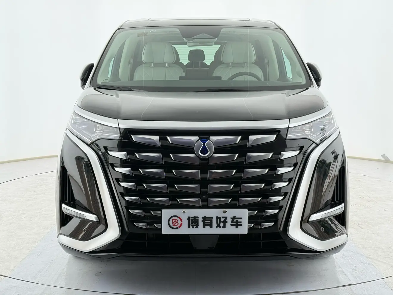 Denza D9 DM  из Китая