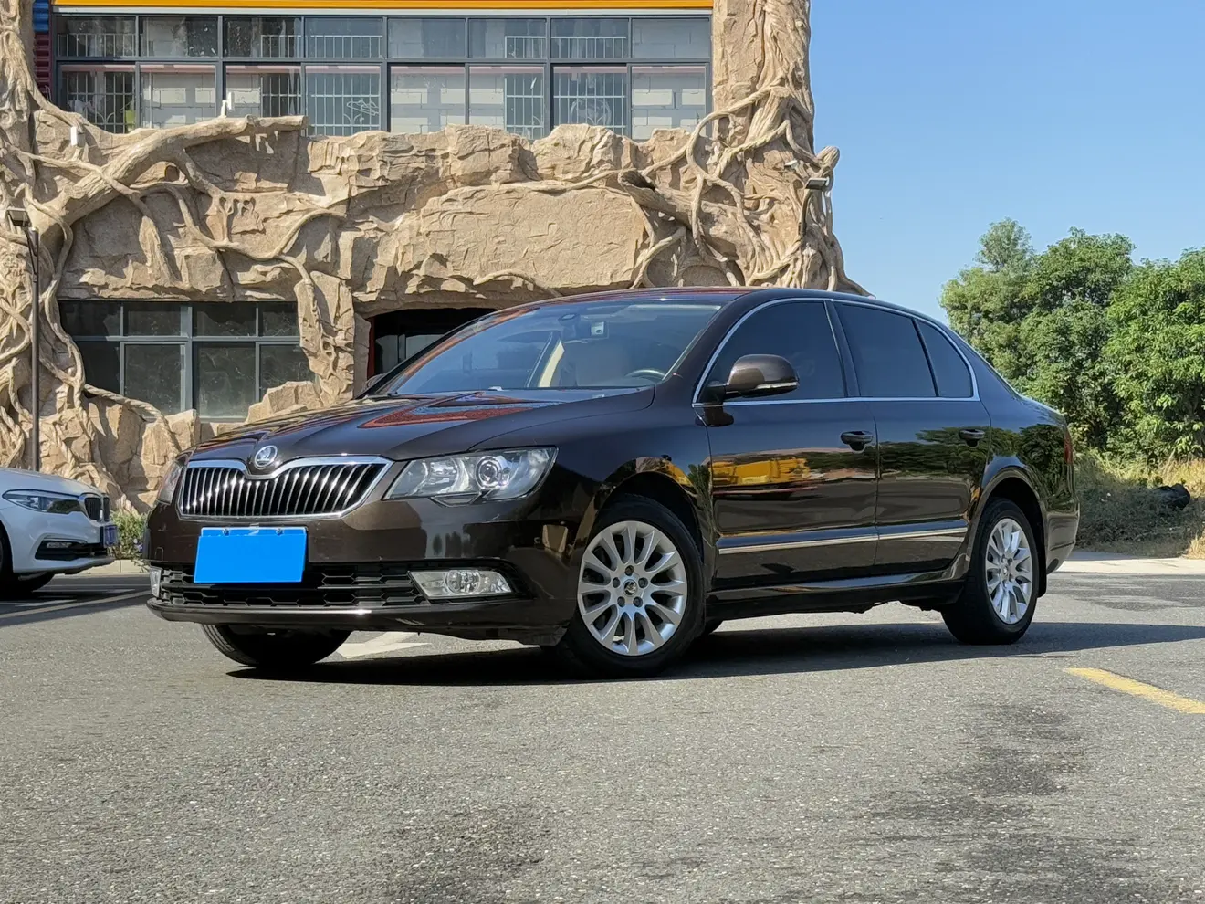 Skoda Speedy  из Китая