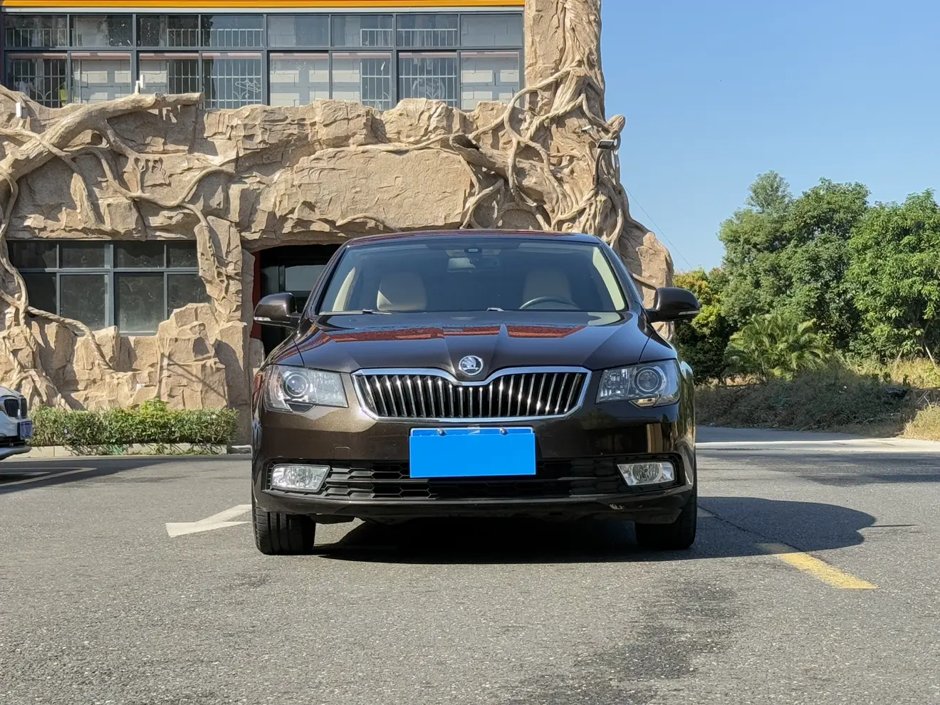 Skoda Speedy  из Китая