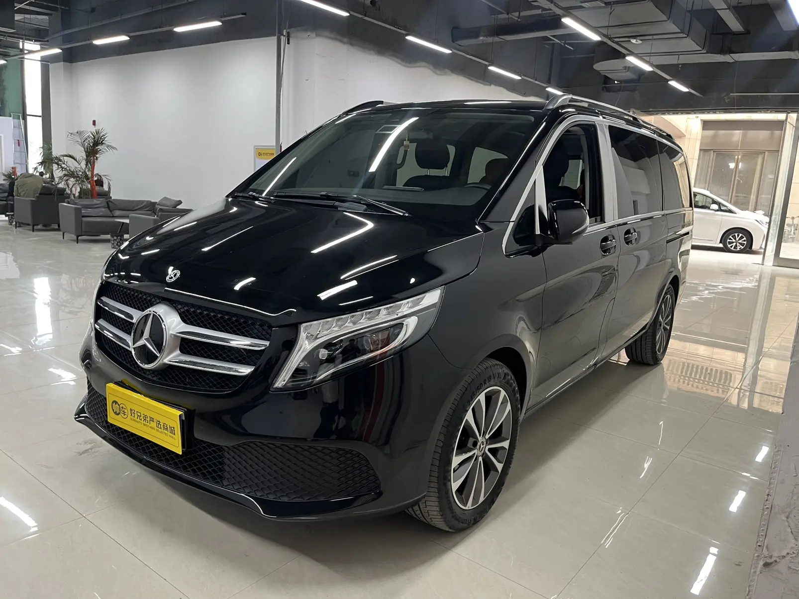 Mercedes-Benz Mercedes Benz V Class  из Китая