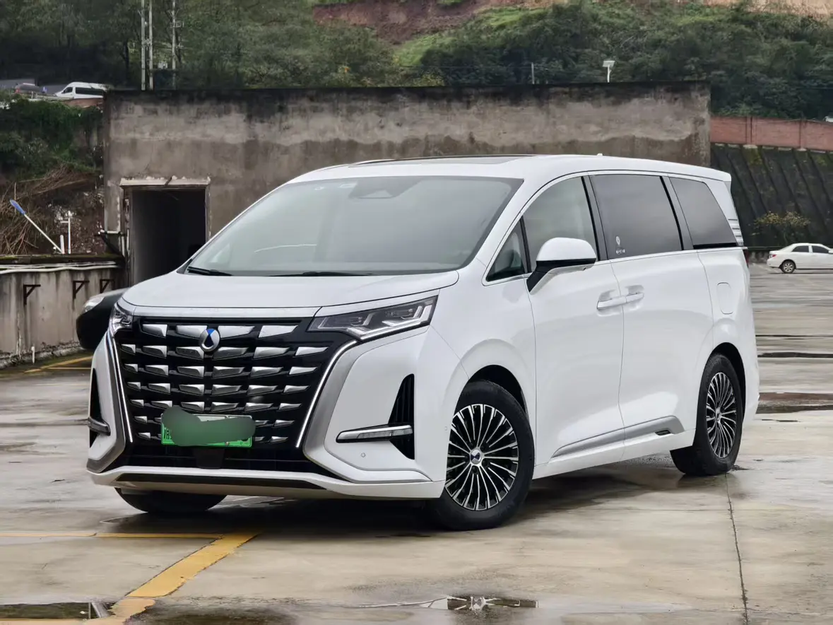 Denza D9 DM  из Китая