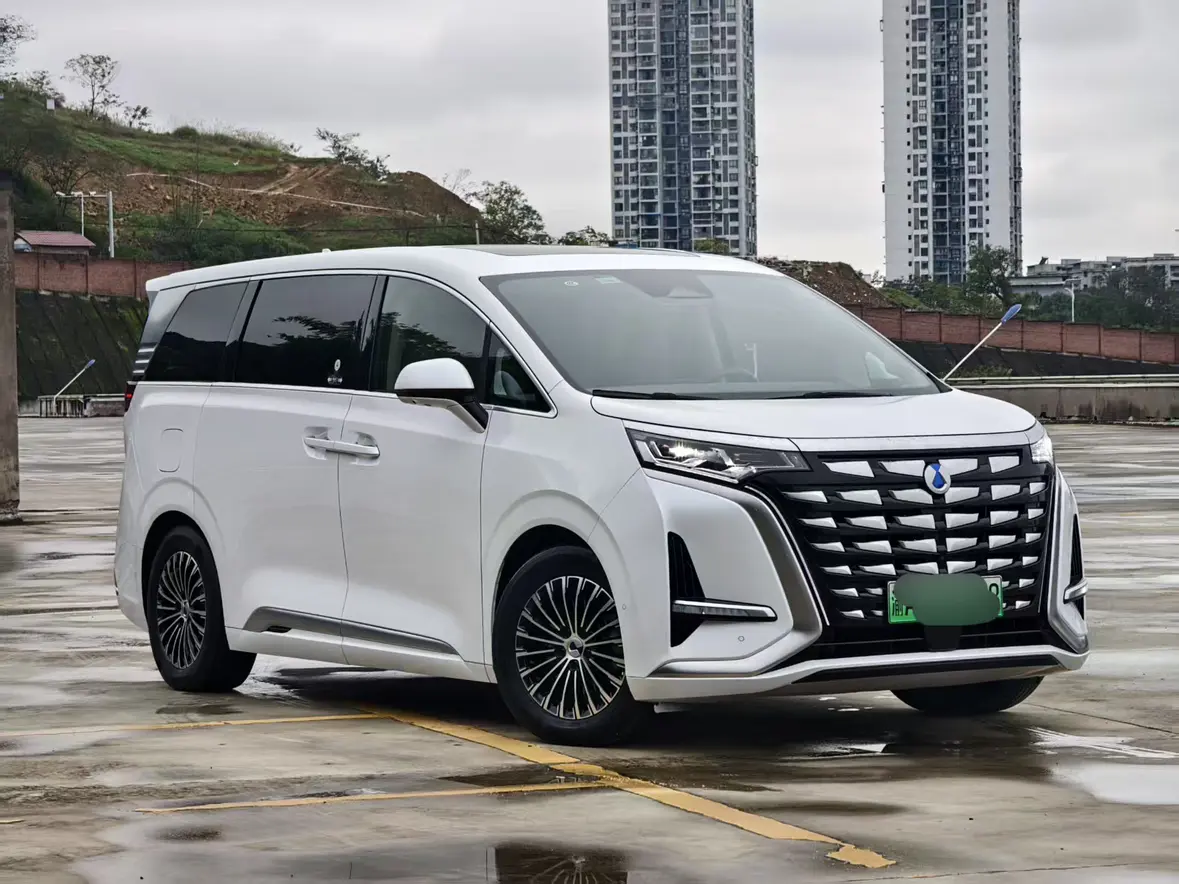 Denza D9 DM  из Китая