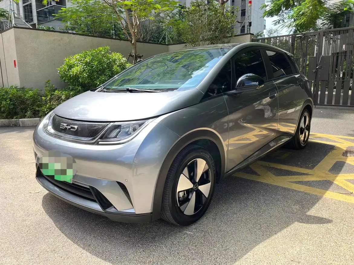 BYD Dolphin  из Китая