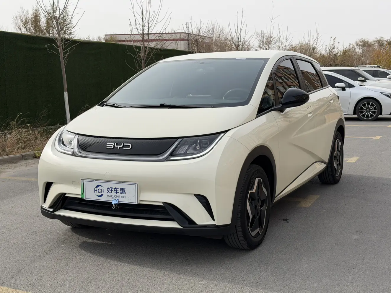 BYD Dolphin  из Китая