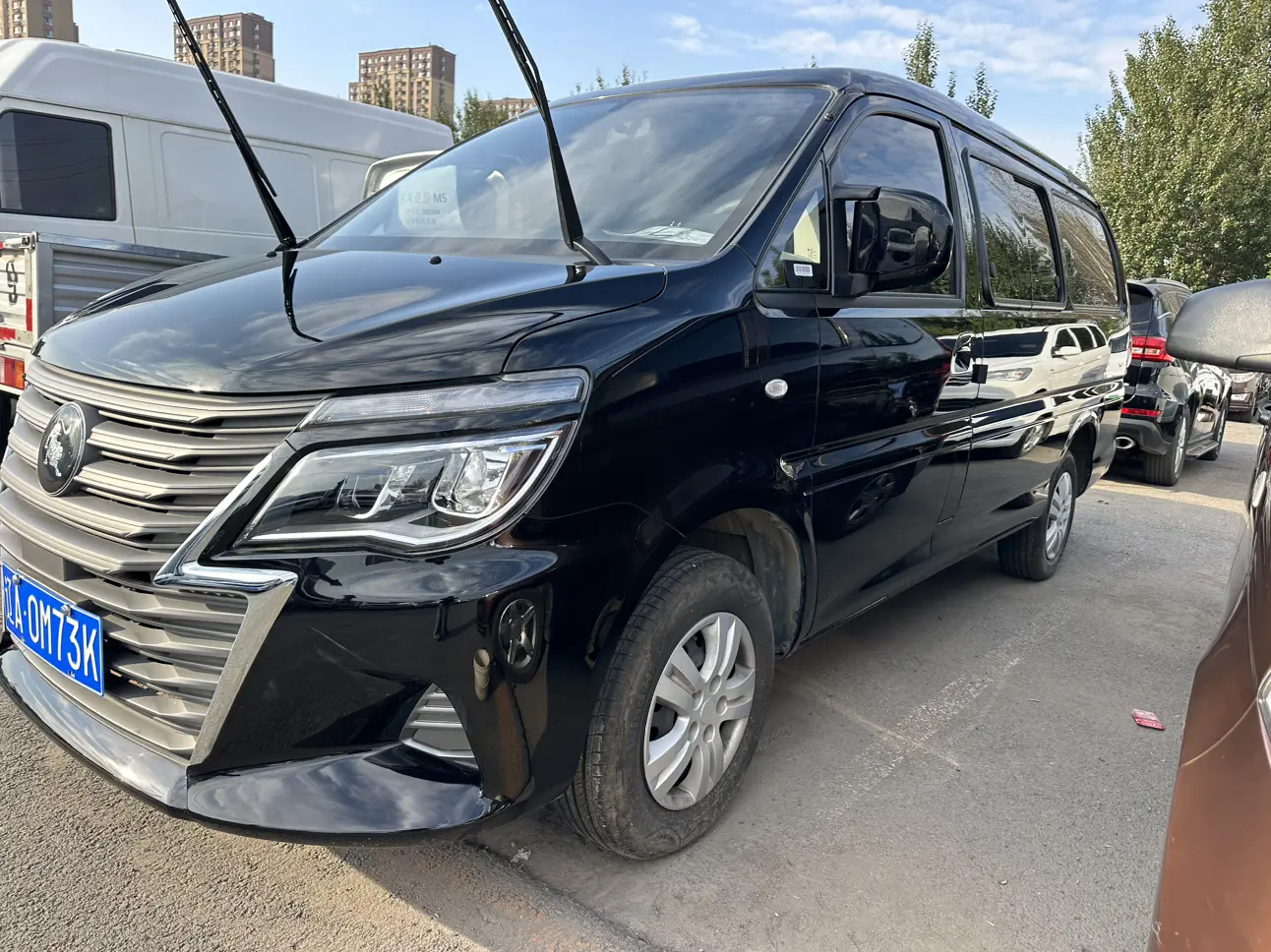 Forthing Lingzhi  из Китая