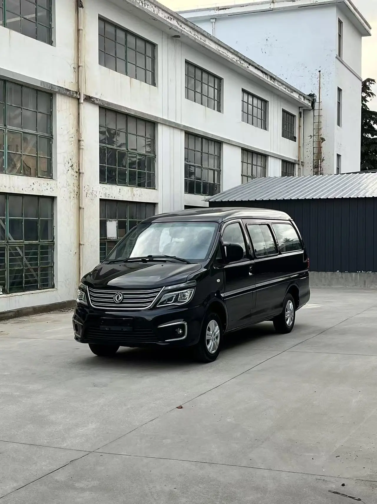 Forthing Lingzhi  из Китая